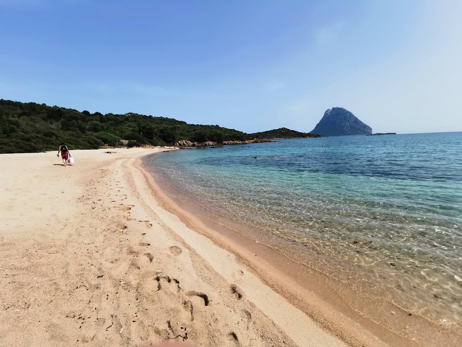 Beachfront Dining Experience
