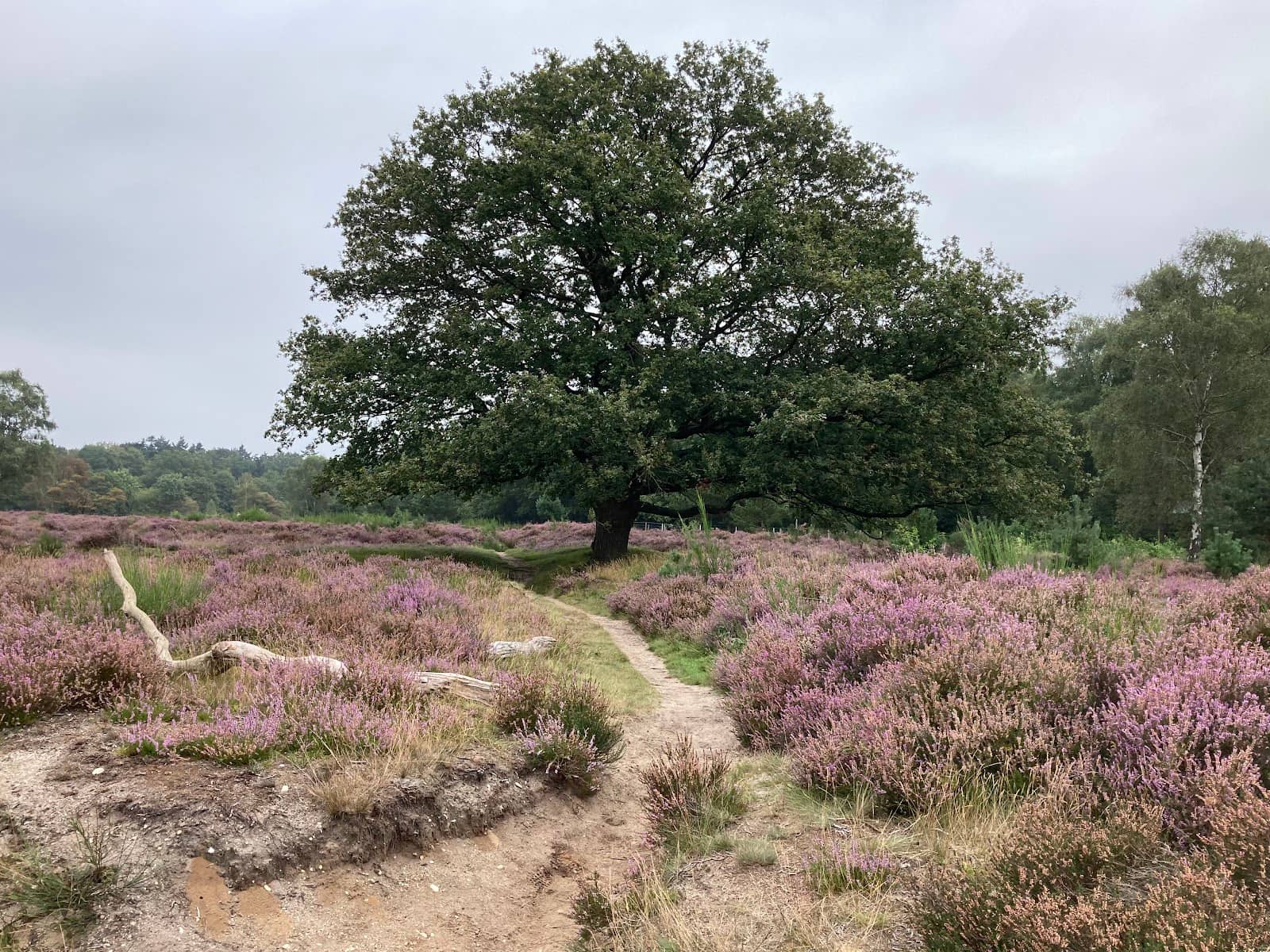 Expansive Walking Trails