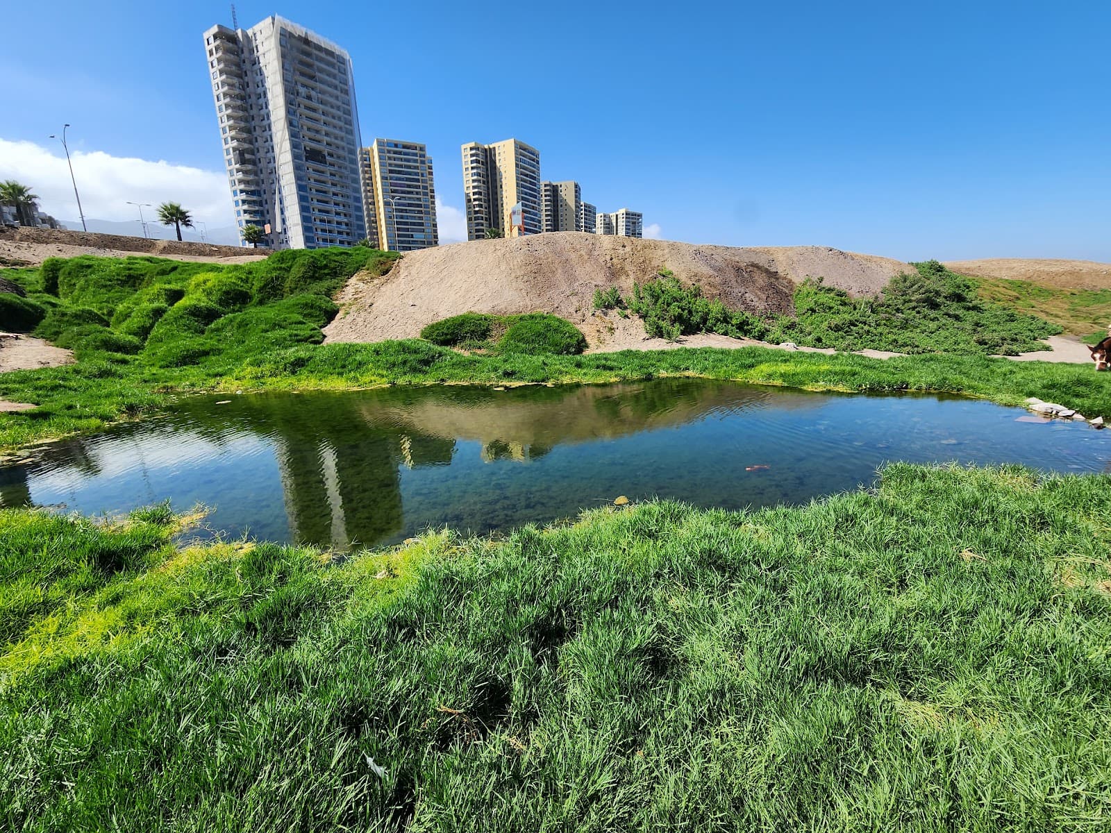 La Chimba Wetland - Image 1