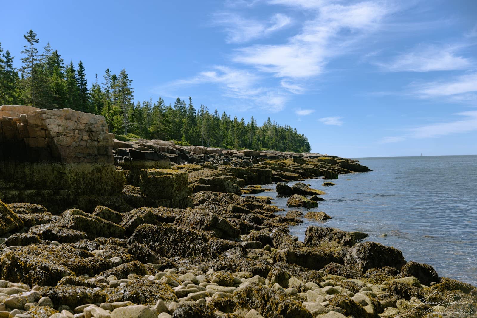 Quiet Coastal Solitude