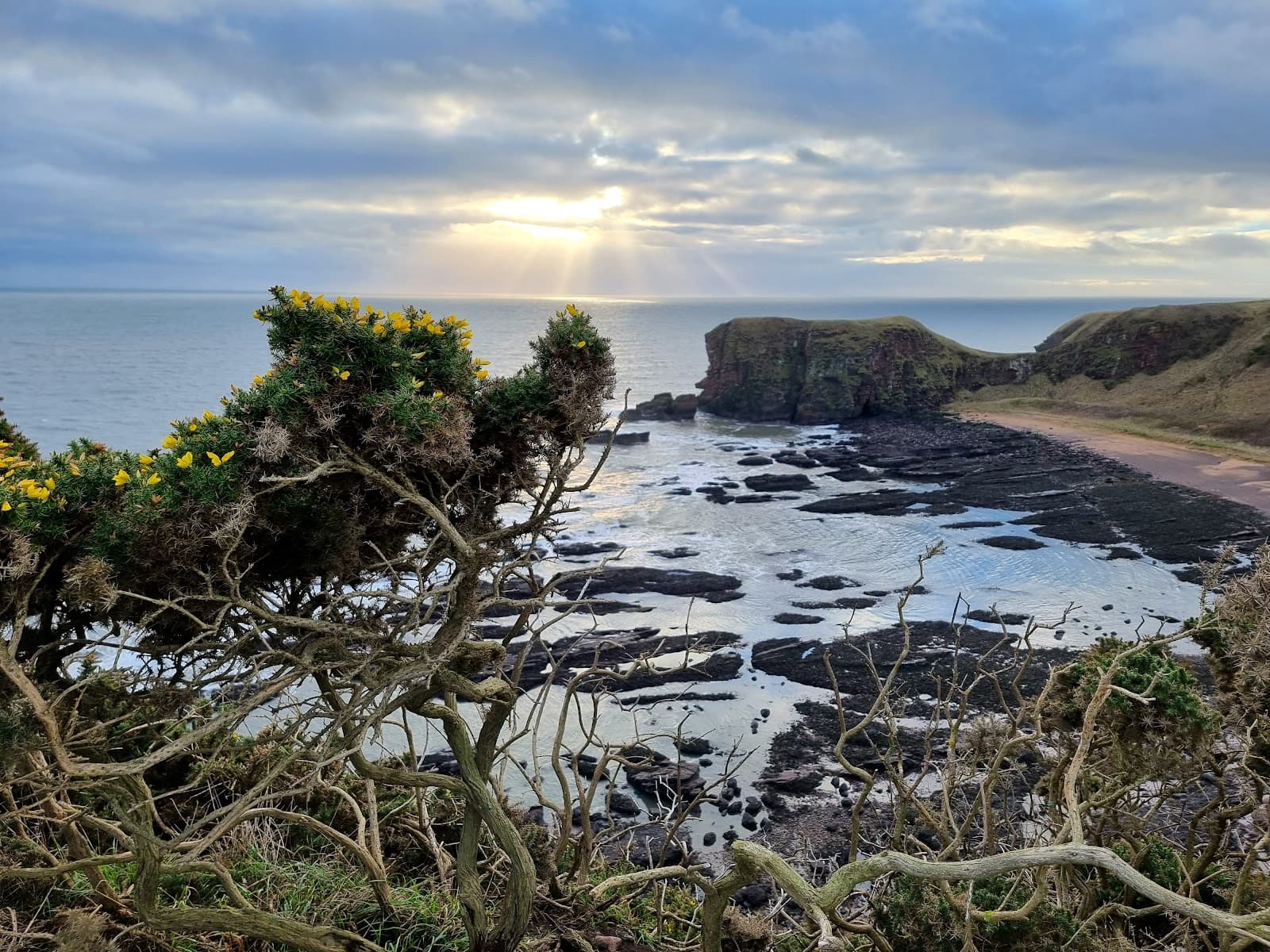 Auchmithie - Image 1