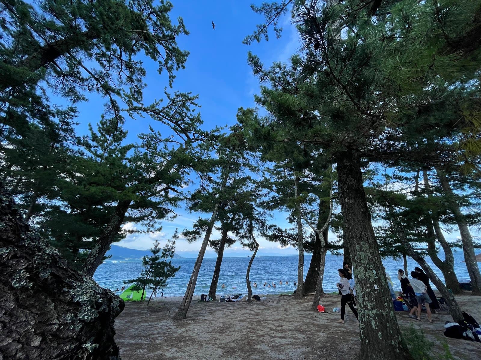 Omi-Maiko Beach - Image 1