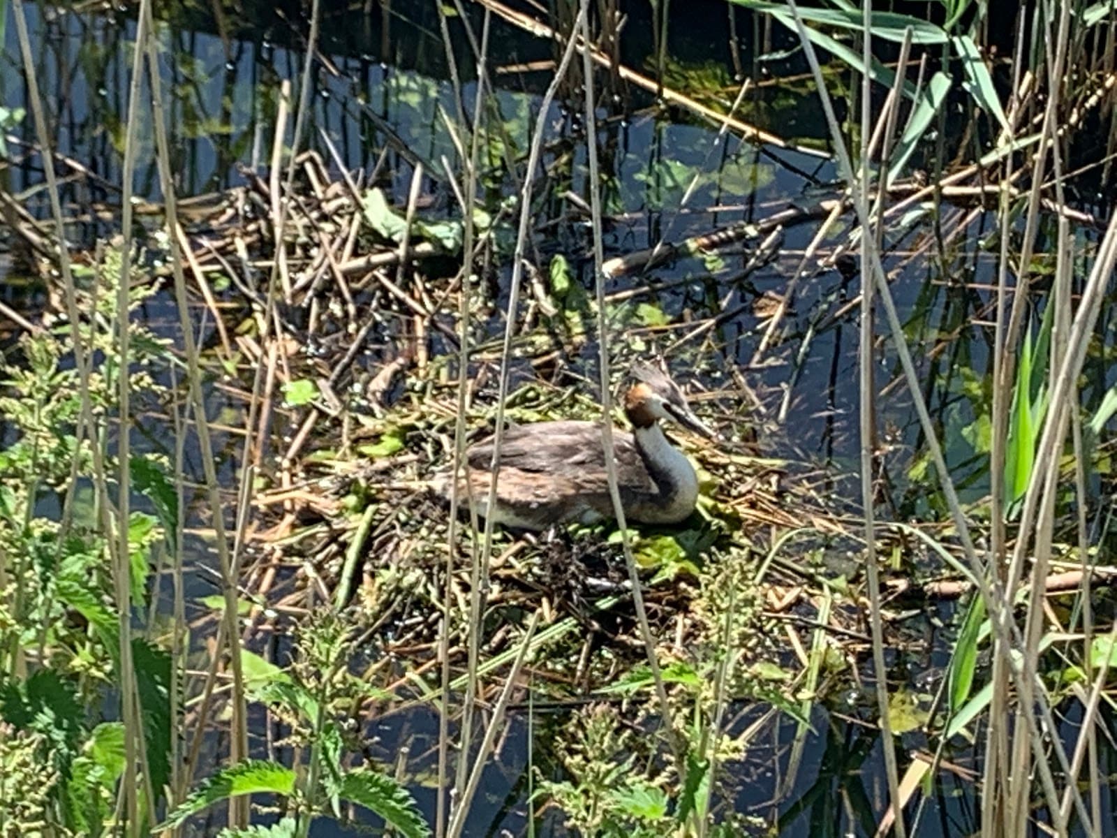 Hoogland Netherlands - Image 1