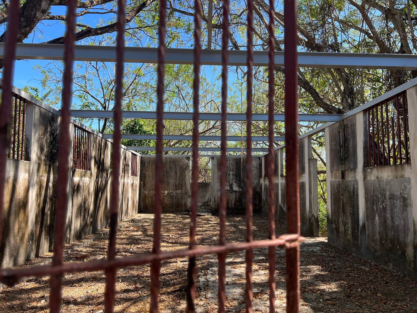Isla San Lucas National Park - Image 1