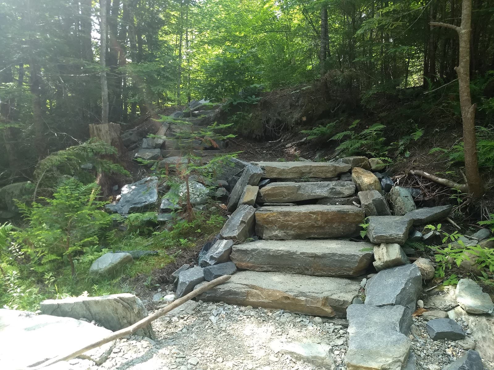 North Branch Cascades Trail - Image 1