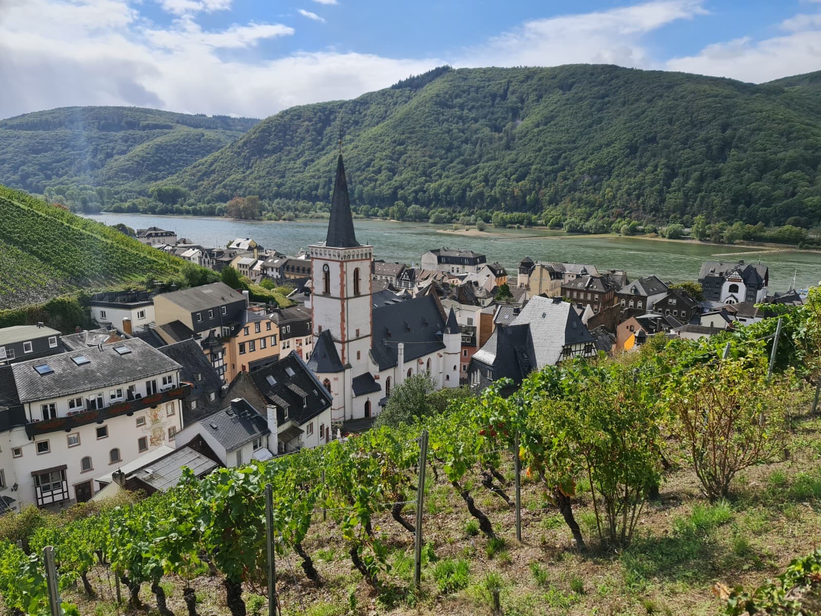 Assmannshausen - Image 1