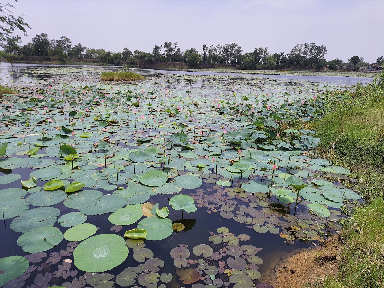 Sangram Sagar Lake - Image 1