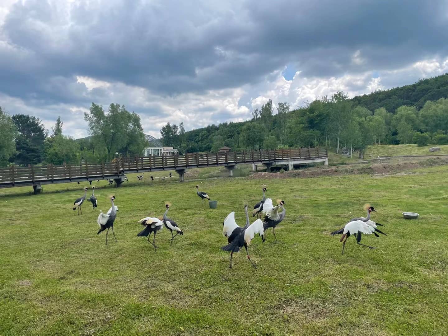 Winter Wonderland Atmosphere