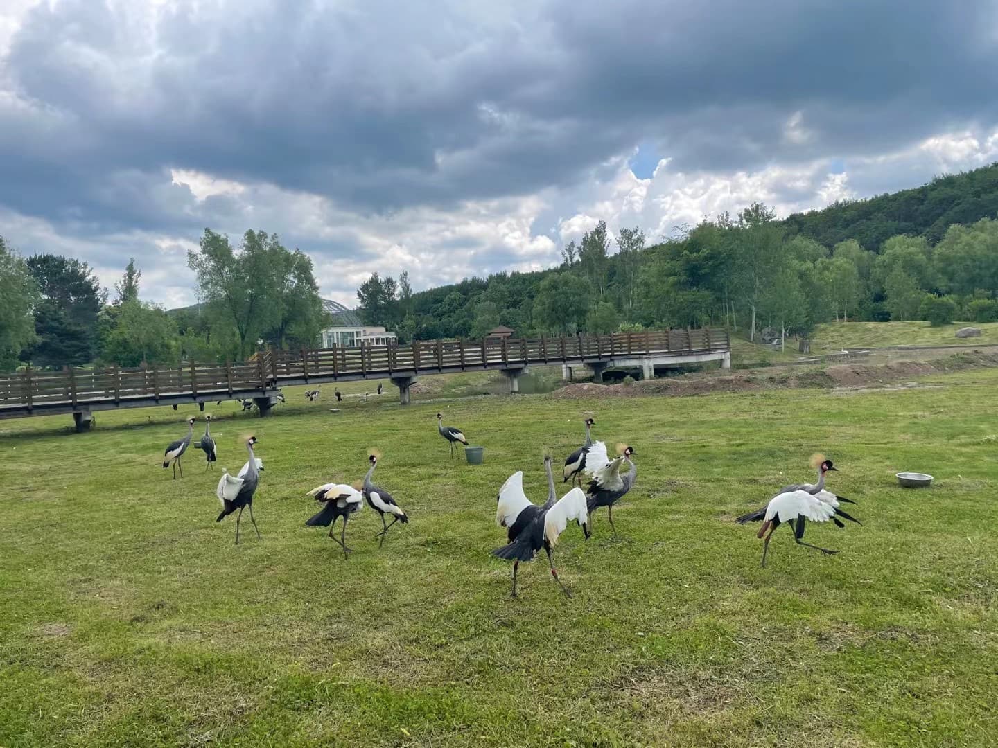 Harbin Northern Forest Zoo - Image 1
