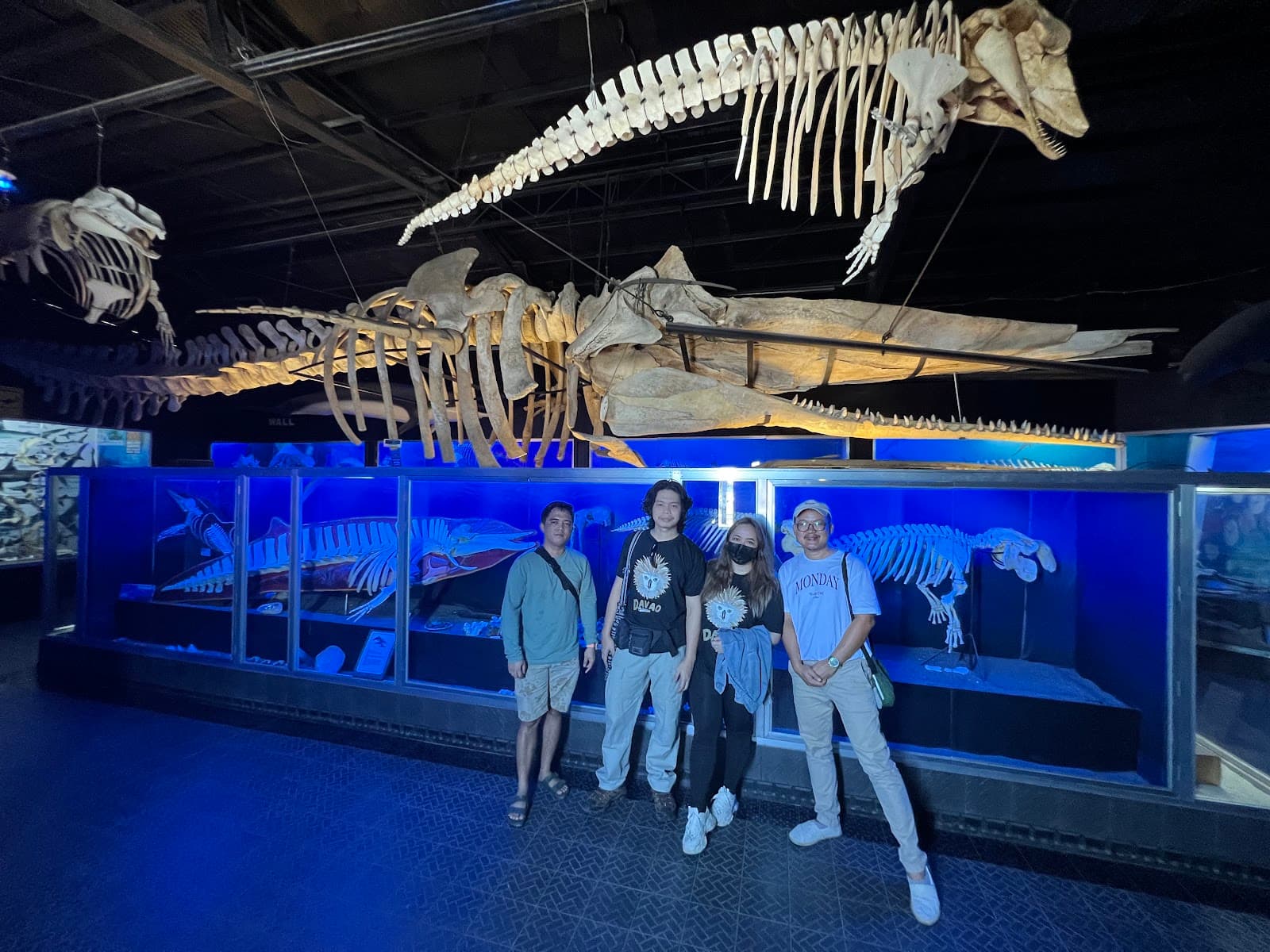 D' Bone Collector Museum - Image 1