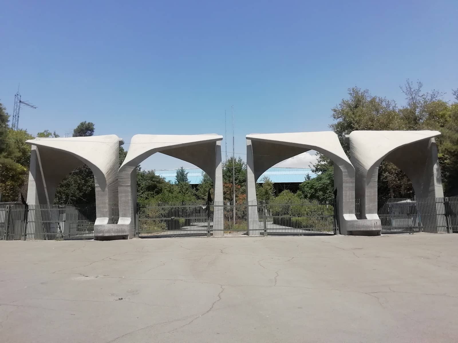 Street Food Delights