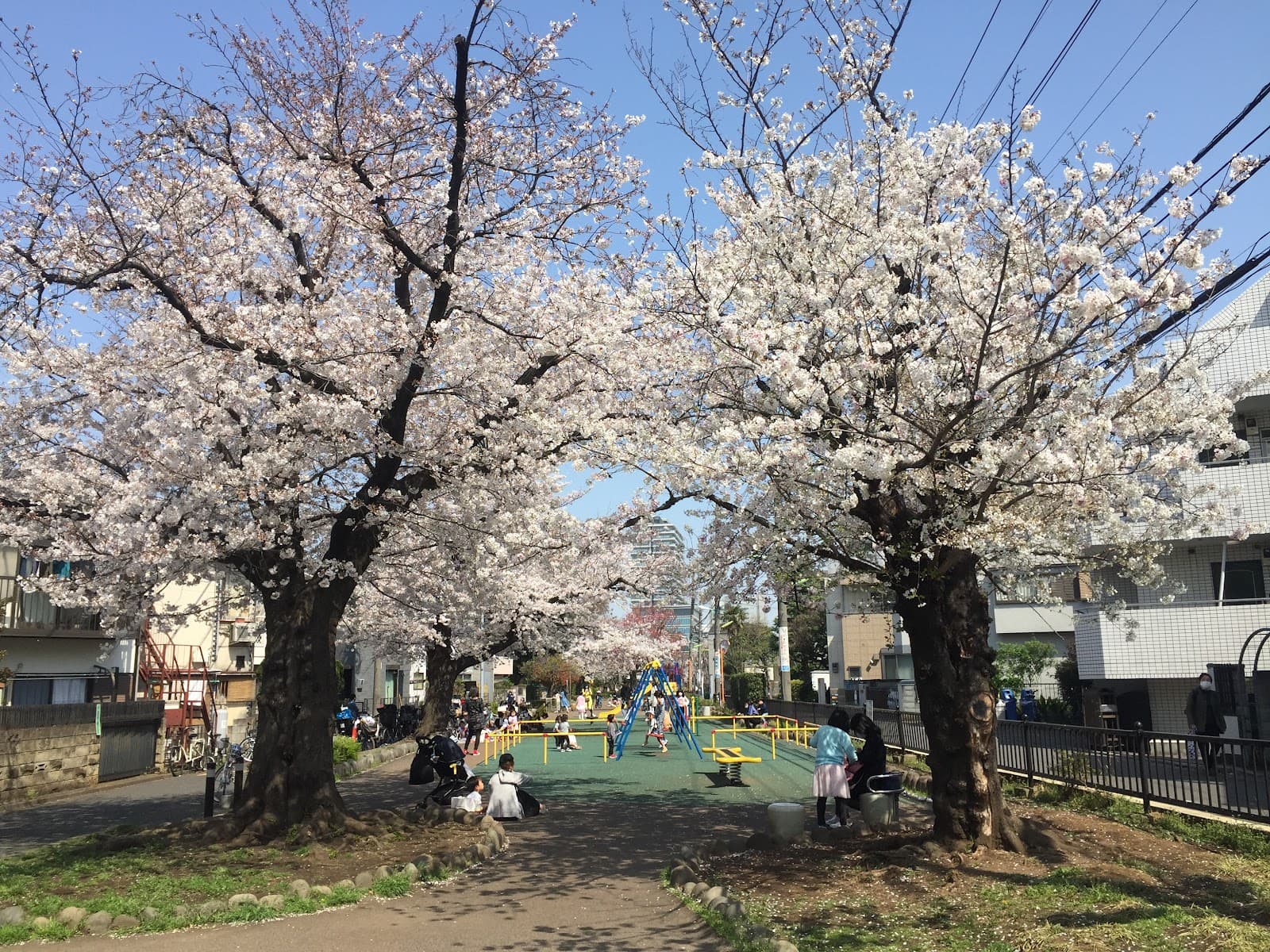 Tamagawa River Greenway Setagaya - Image 1