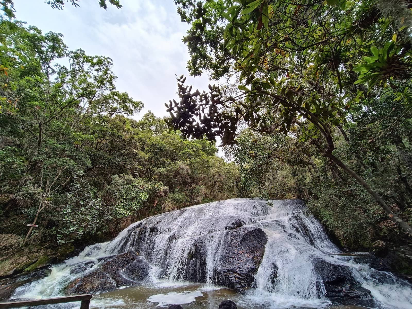 Birdwatching Opportunities