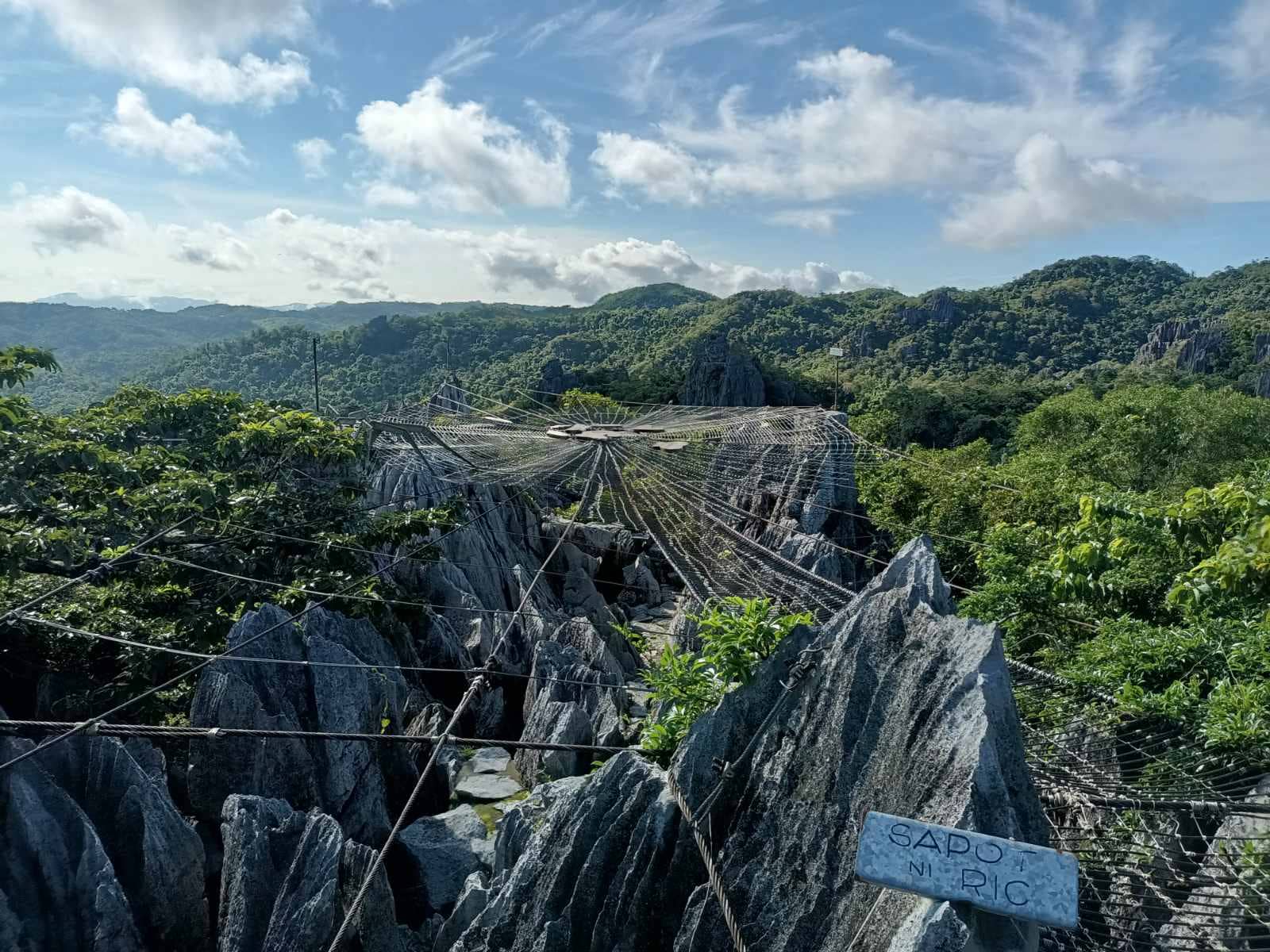 Night Trail with Fireflies
