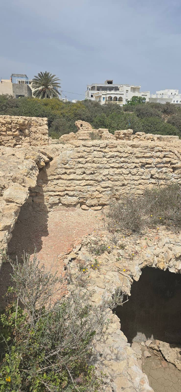 Temple Ruins