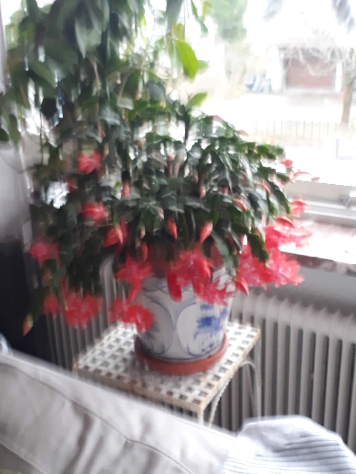 Pråmkanalen - Image 1