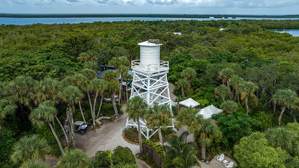Cabbage Key - Image 1