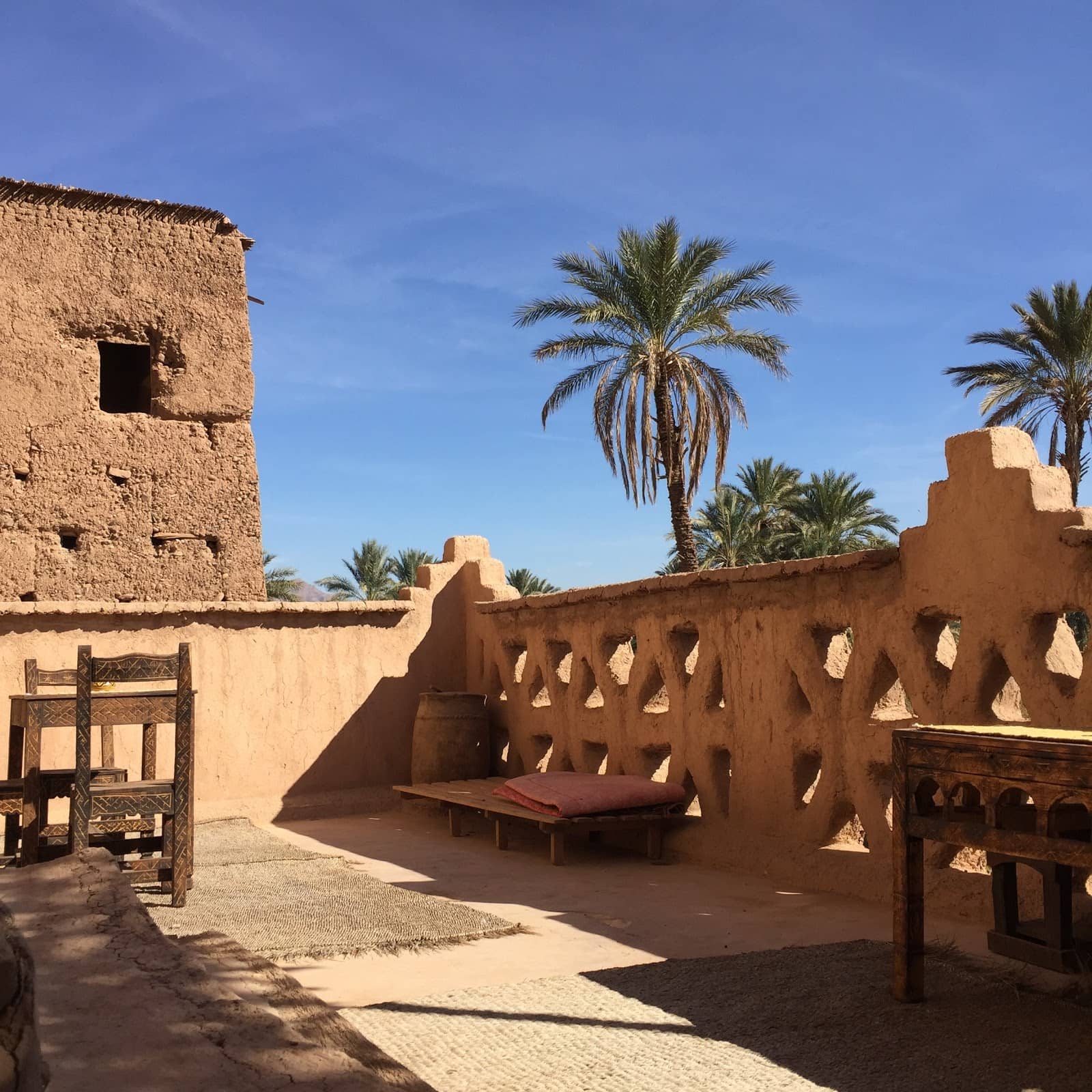Draa Valley Oasis Views