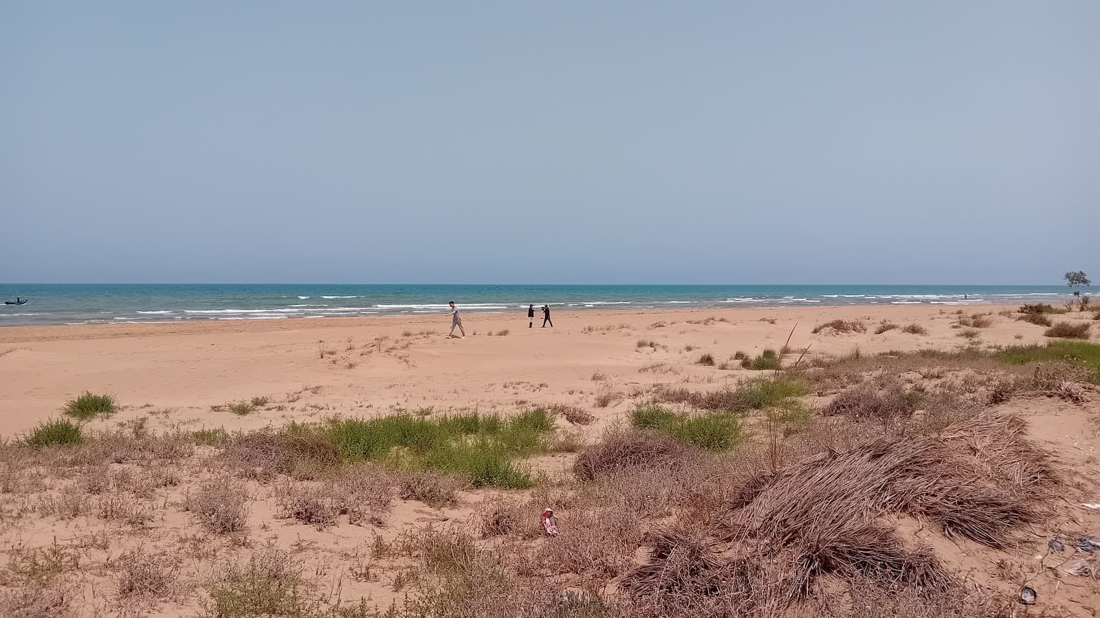 Moulouya National Park - Image 1