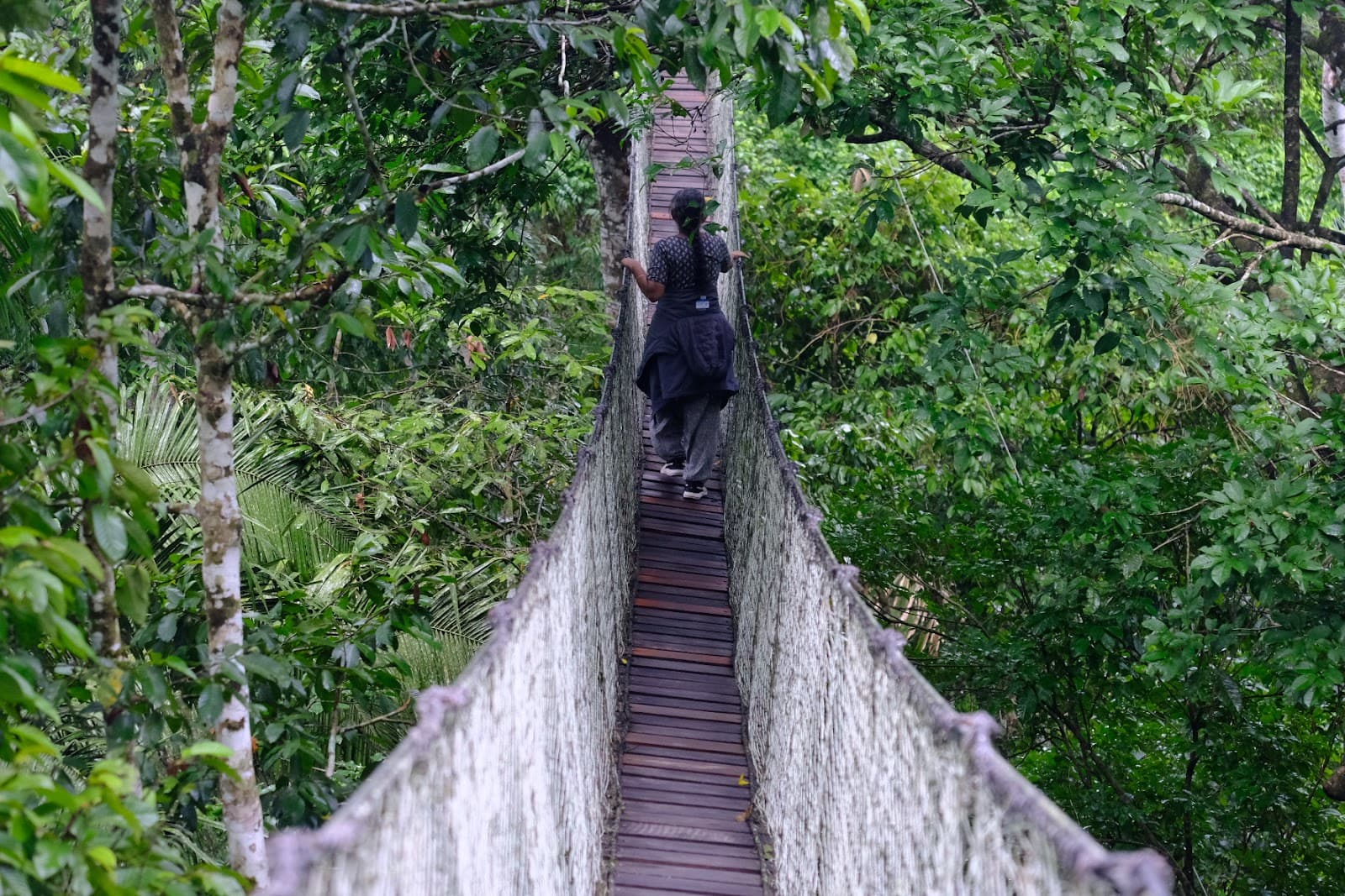 Inkaterra Canopy Walkway - Image 1