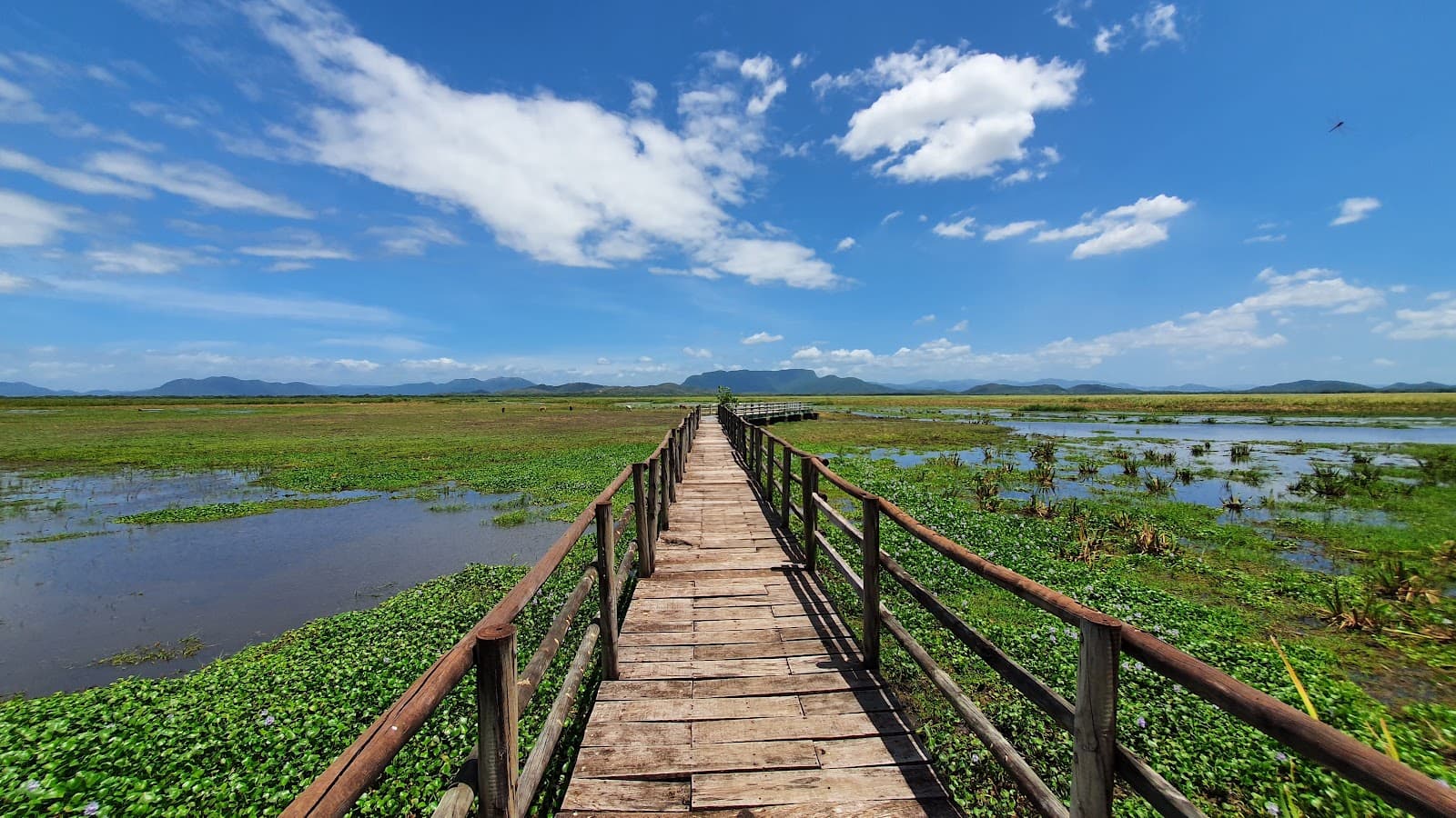 Palo Verde National Park - Image 1
