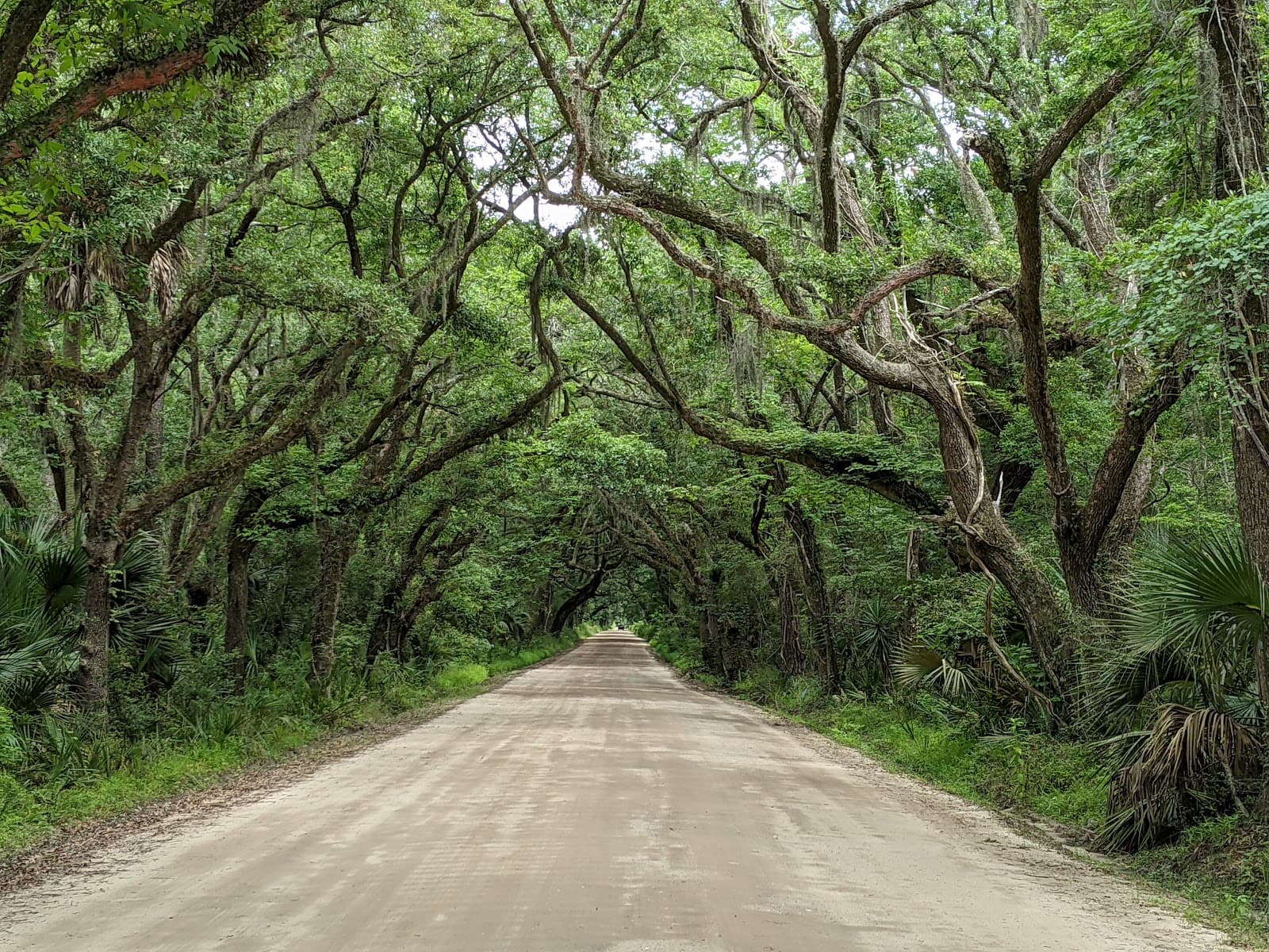 Botany Bay Plantation Heritage Preserve - Image 1