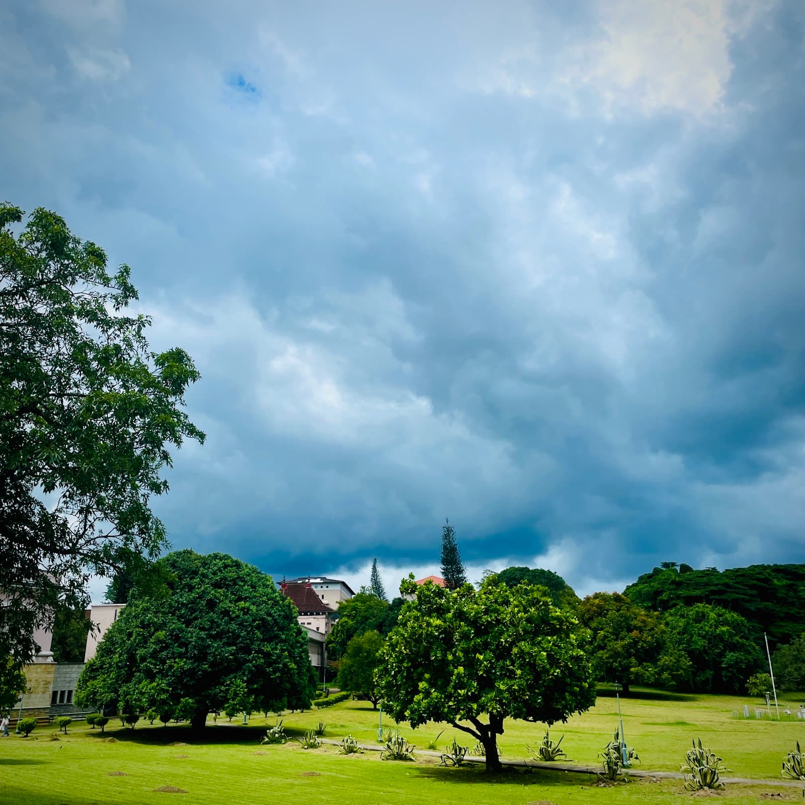 University of Peradeniya - Image 1