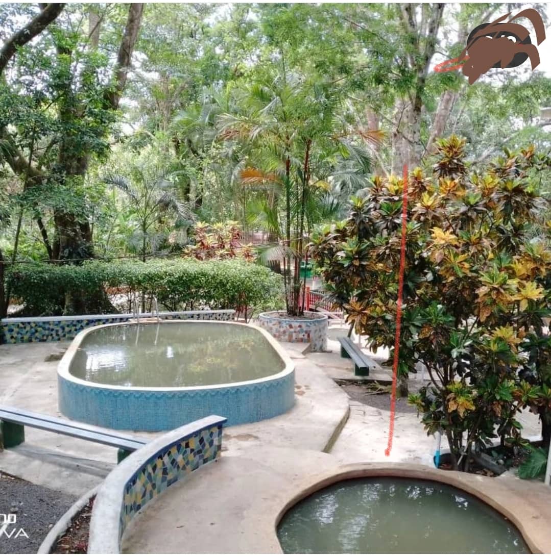 El Chorro Macho Waterfall