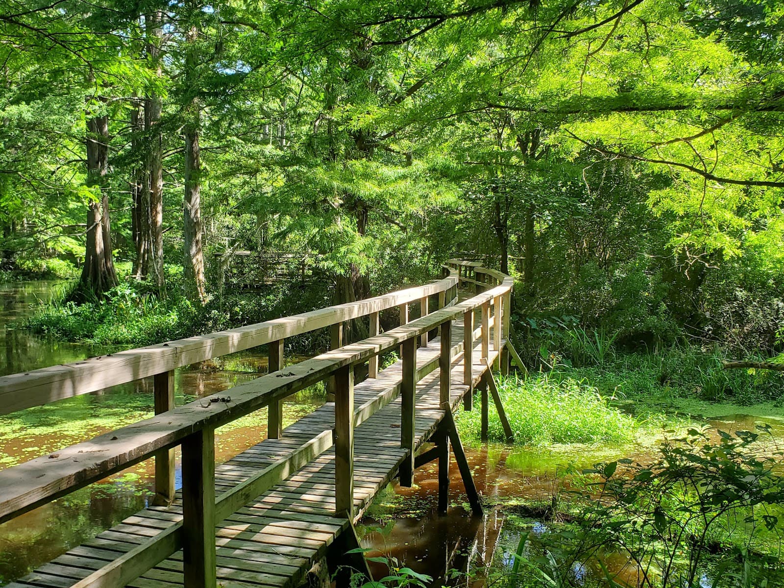 Northlake Nature Center - Image 1