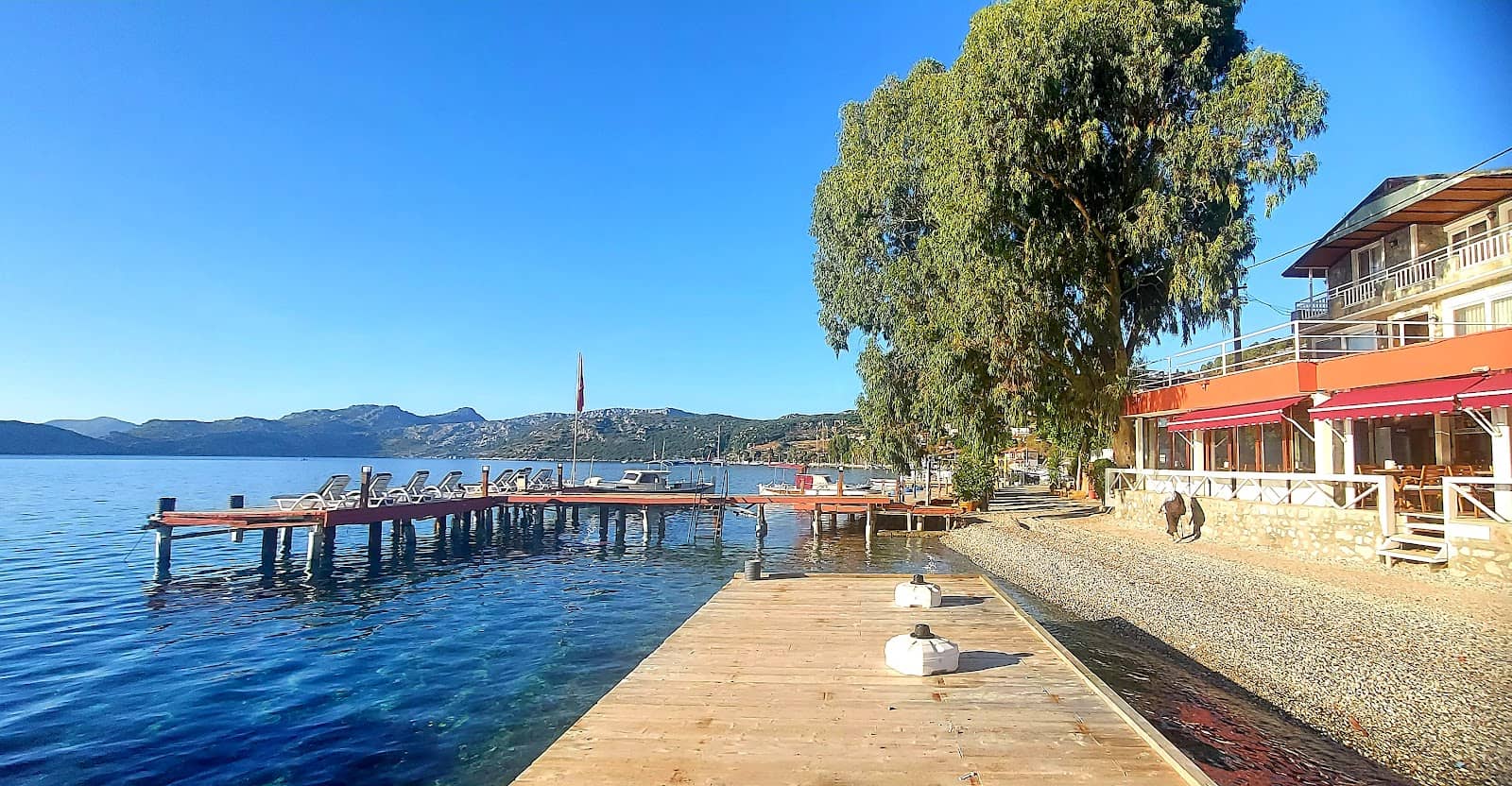 Tranquil Winter Blooms