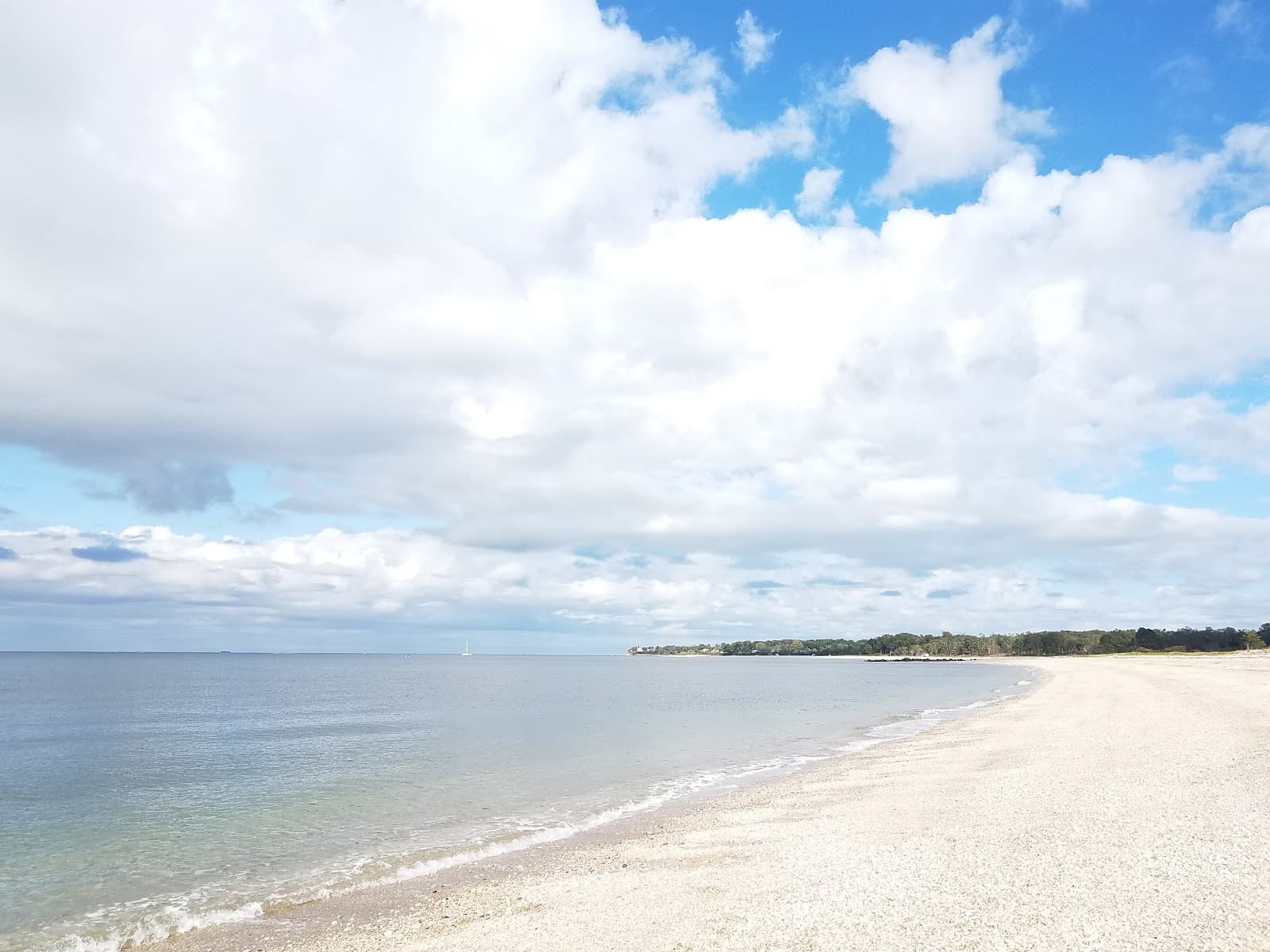 Flax Pond Tidal Wetland - Image 1