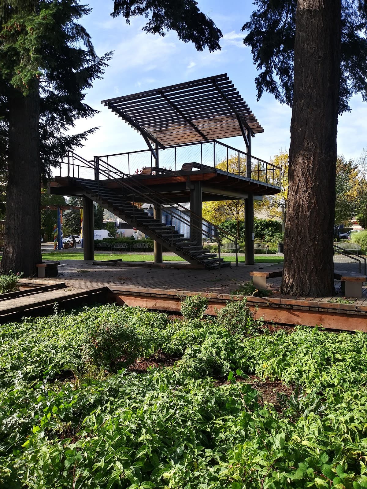 DeYoung Park - Image 1