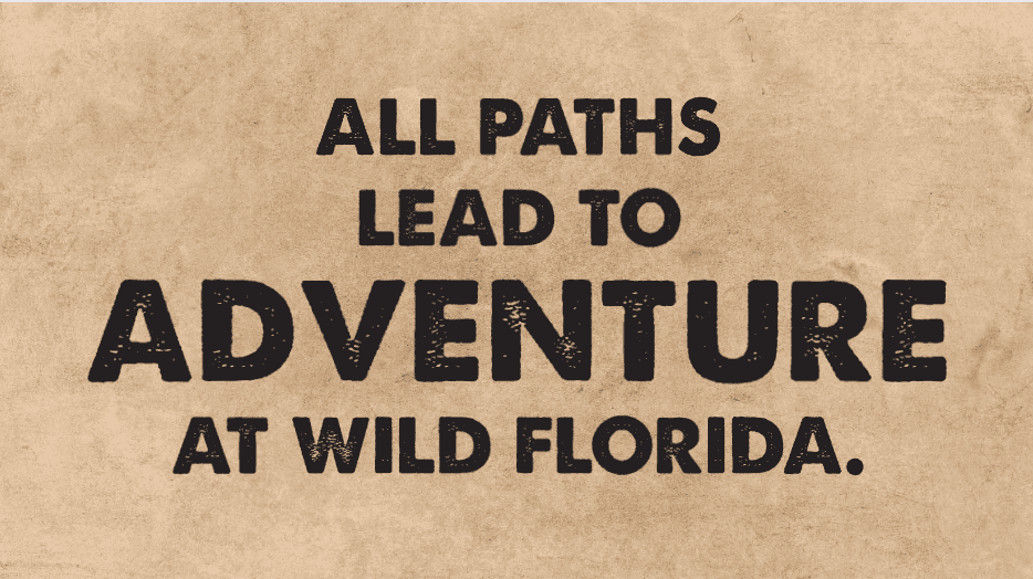 Gator Park Encounters