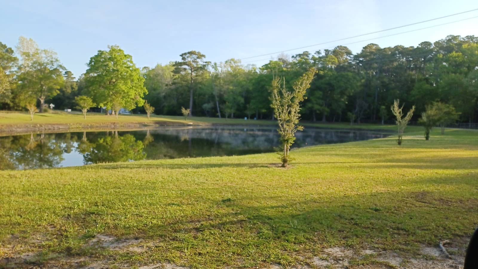 Picnic Bench Serenity