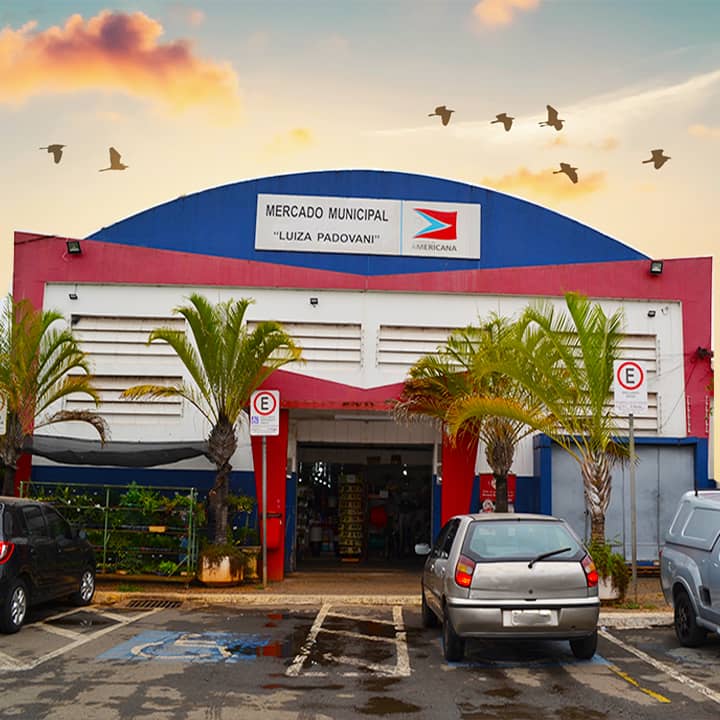 Fresh Produce Galore