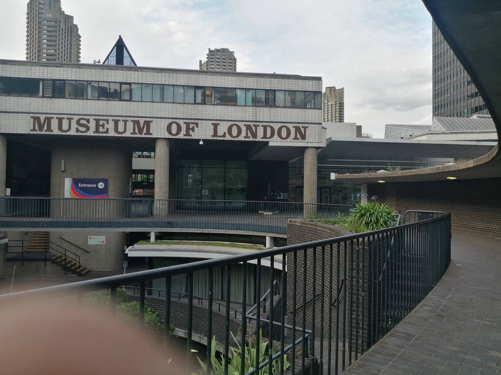 Natural History Museum's Giant Squid