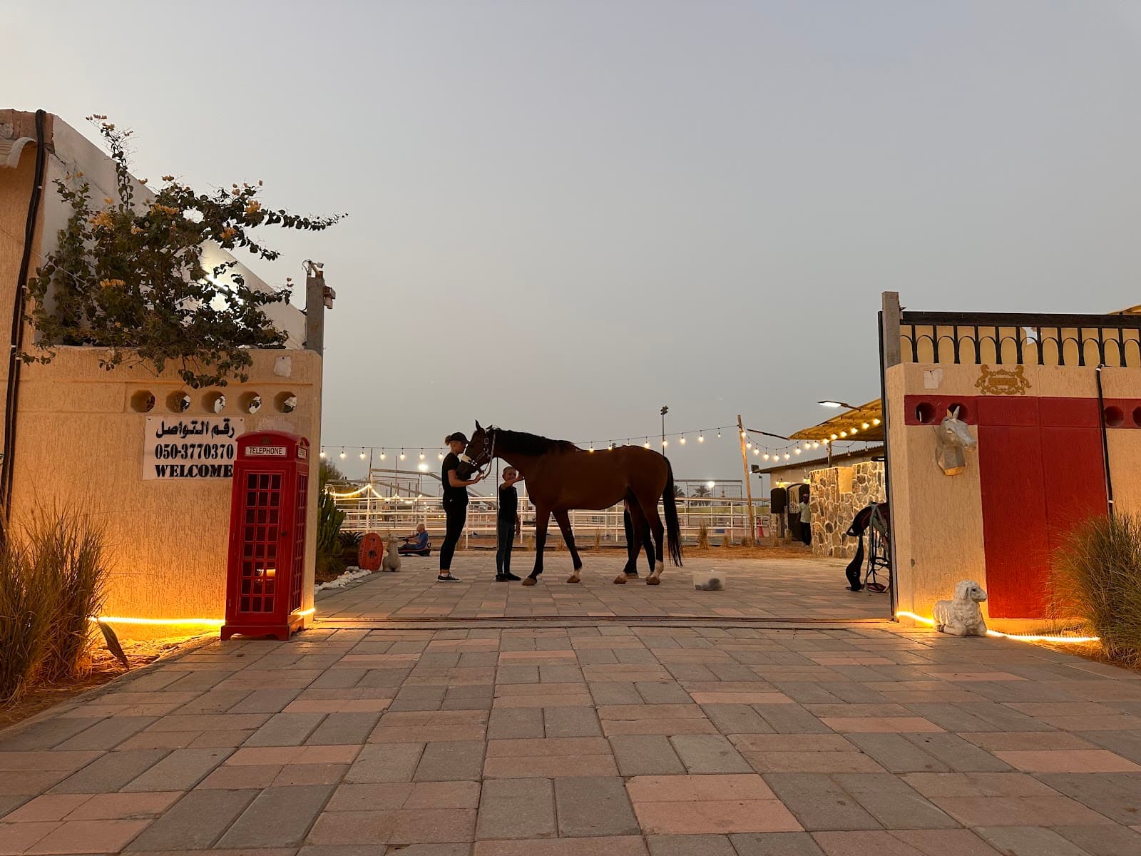 Ras Al Khaimah Equestrian and Racing Club - Image 1
