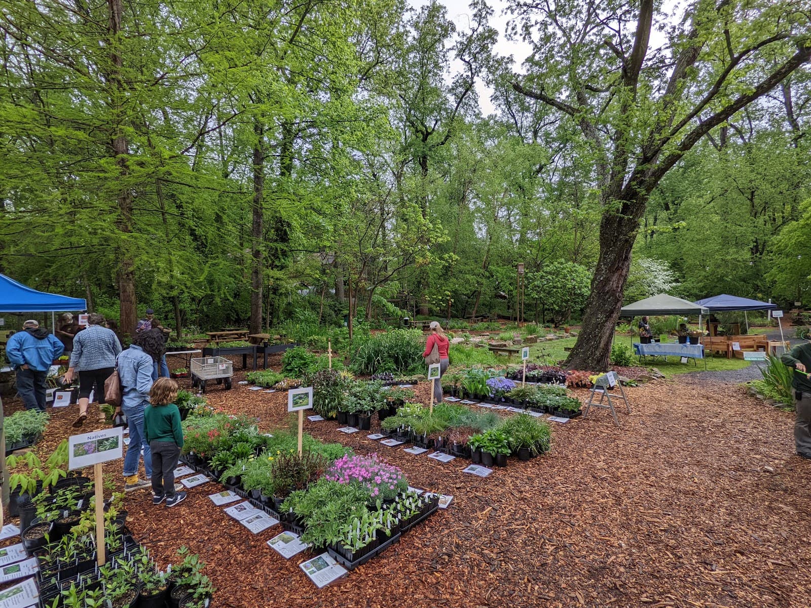 Oakhurst Garden (Wylde Center) - Image 1