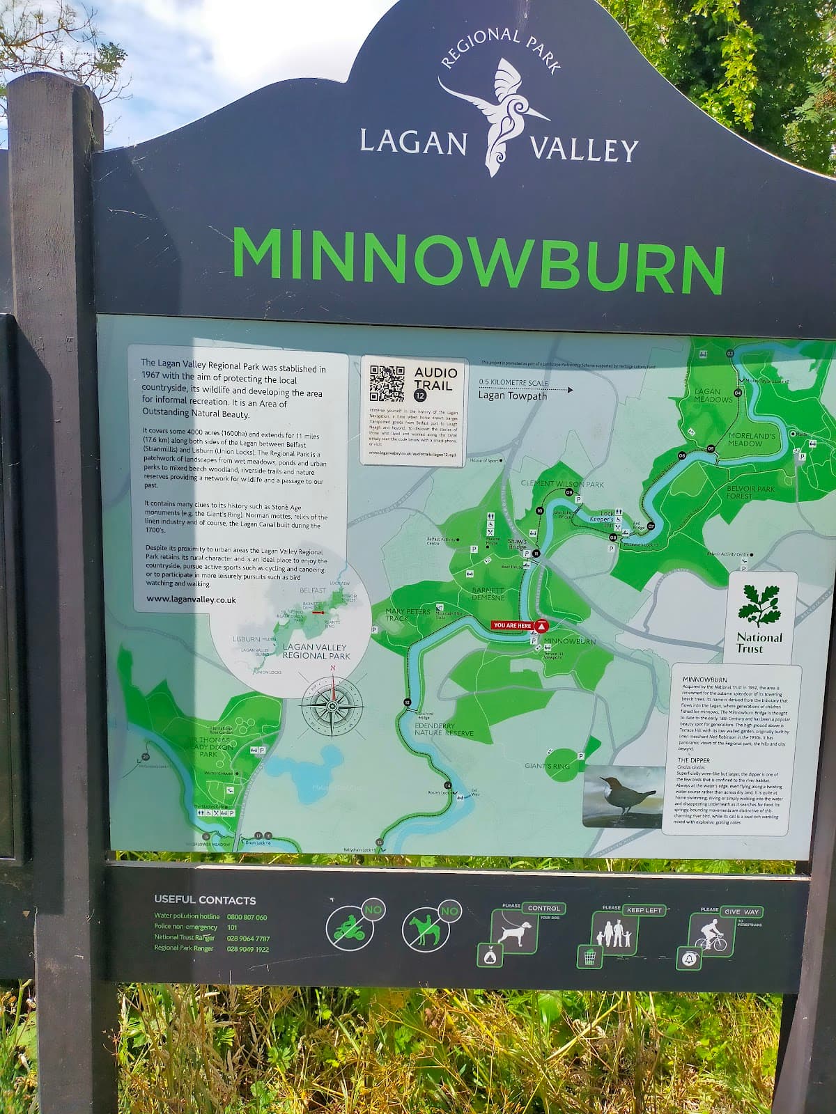 Minnowburn and Terrace Hill Garden - Image 1