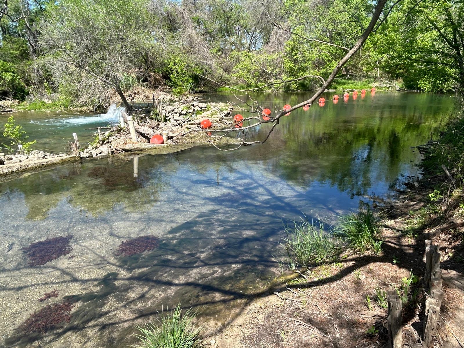 Cape's Dam and Mill Race - Image 1