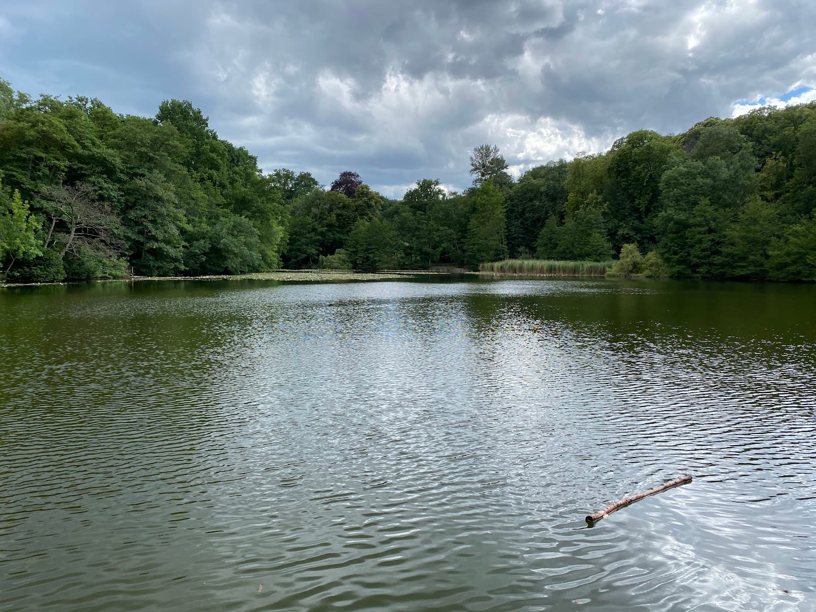 Étang de Saint-Cucufa - Image 1