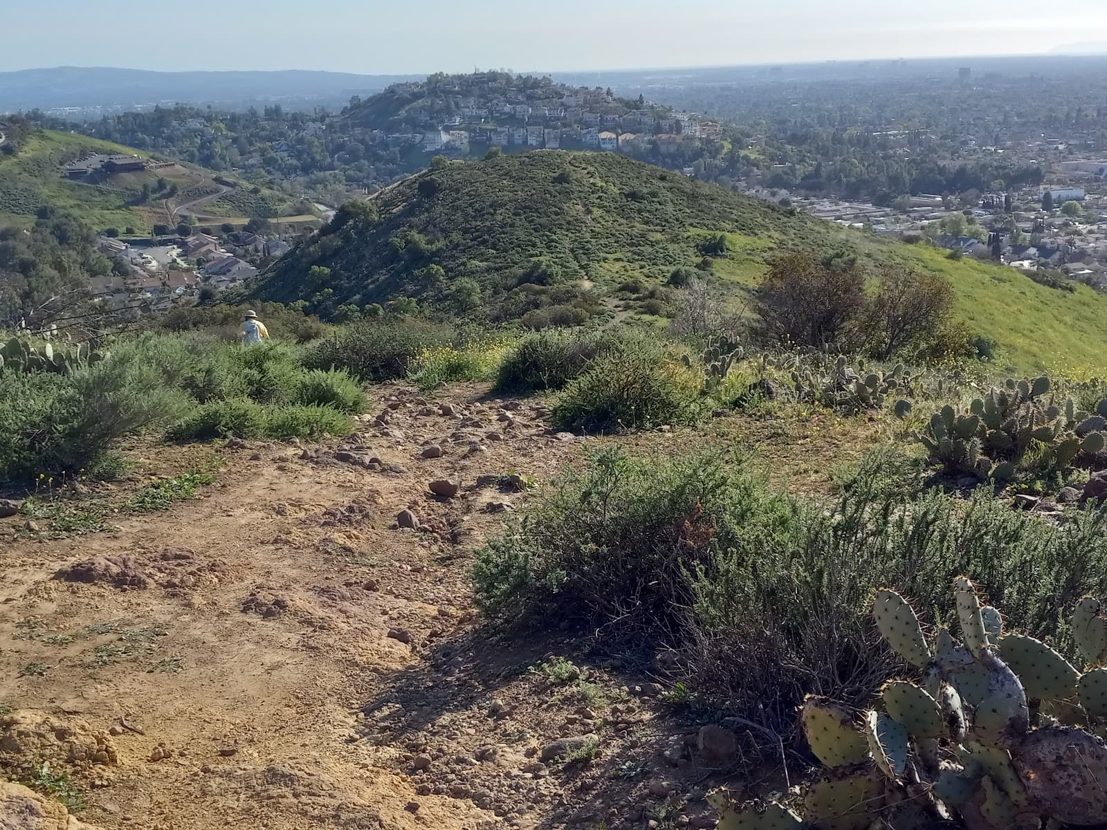 El Modena Open Space - Image 1