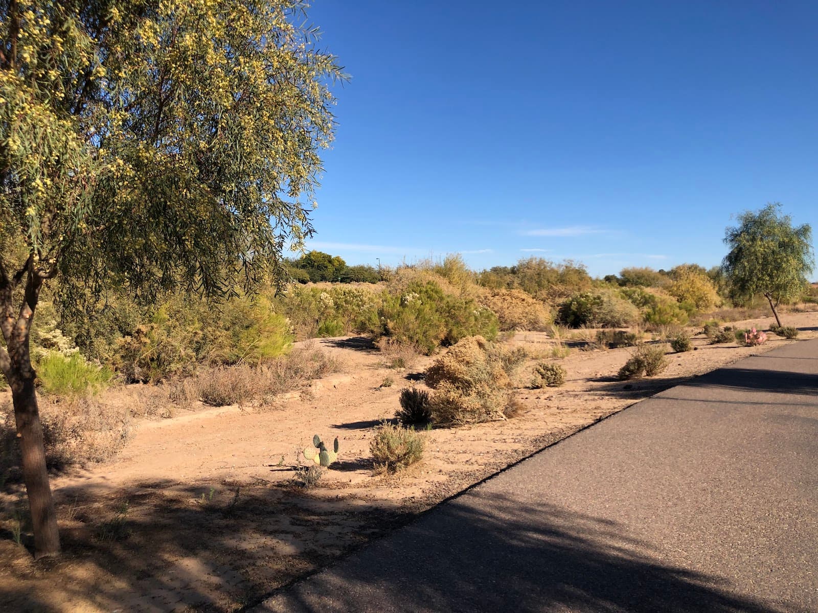 Queen Creek Wash Trail - Image 1