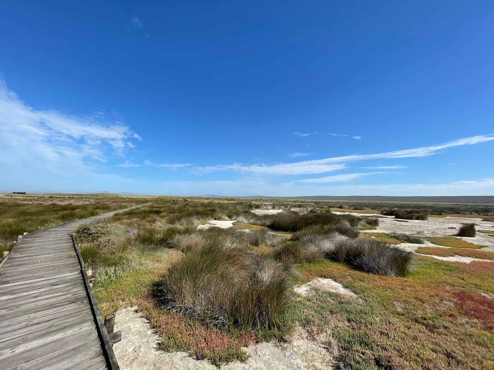 Geelbek Homestead & Bird Hides - Image 1