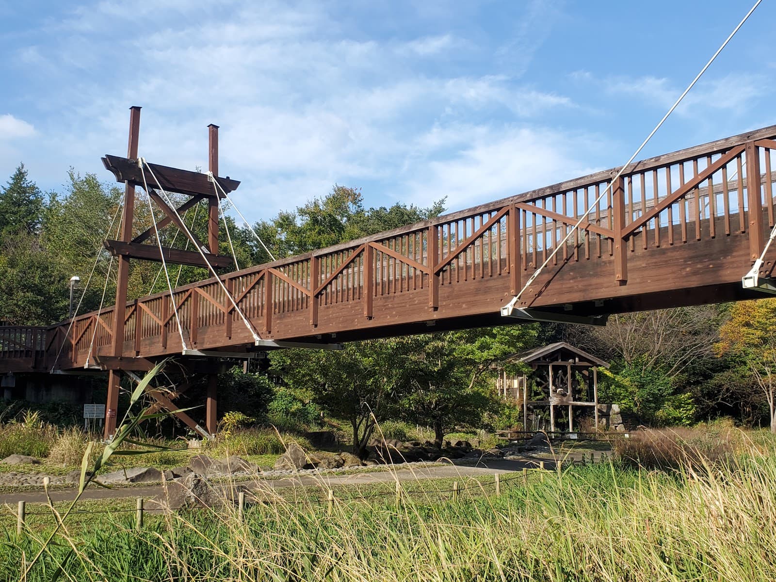 Izumi-no-Mori Park - Image 1