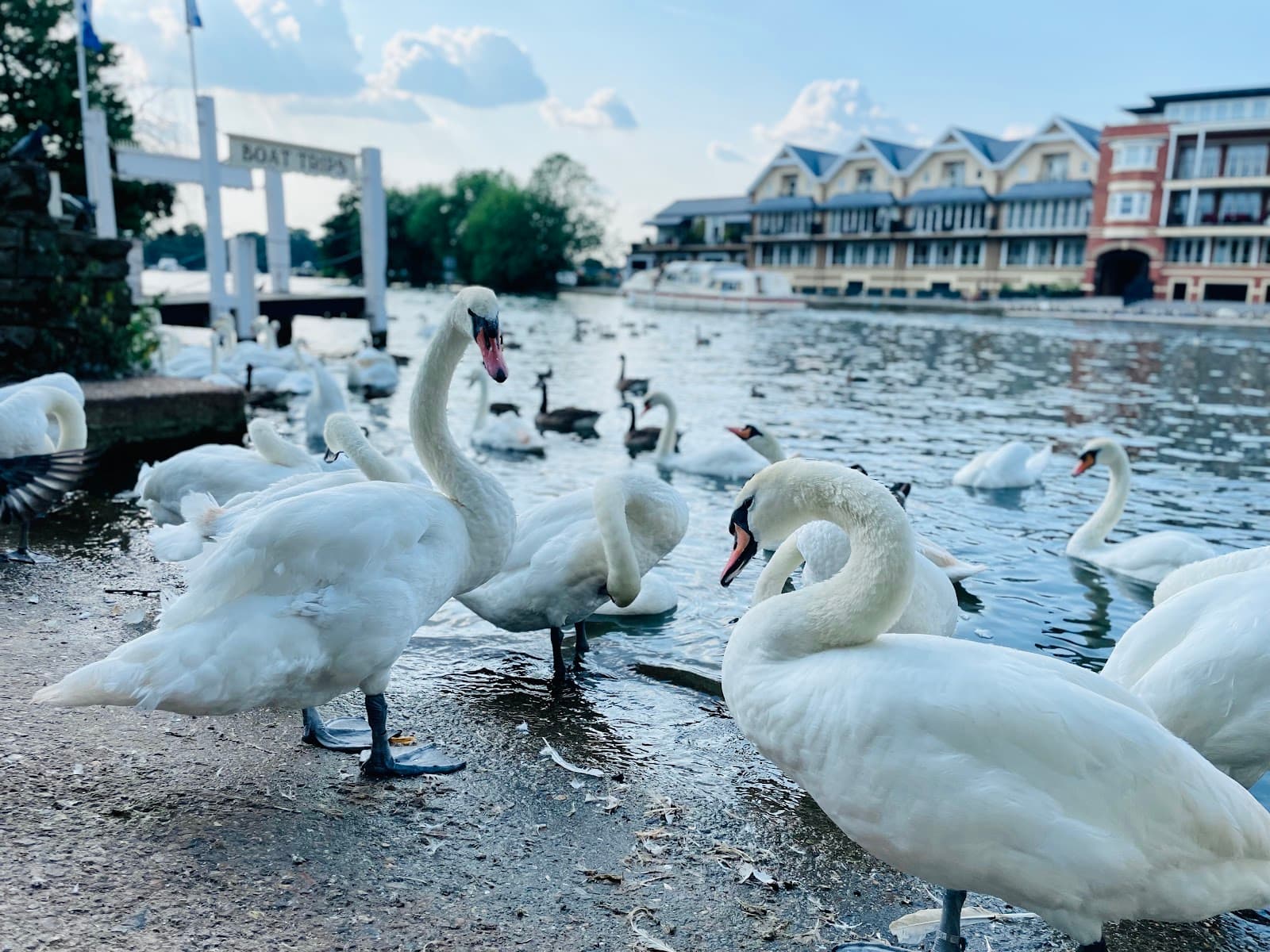Windsor Promenade Barry Avenue - Image 1