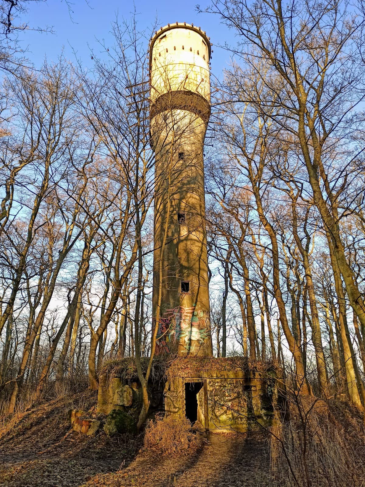 Vertical photo