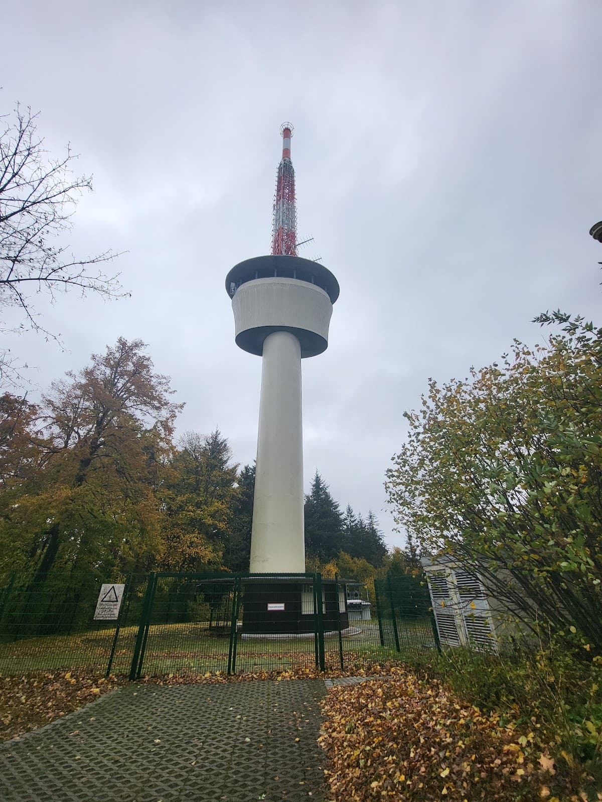 Tinnunculus Falconry - Image 1