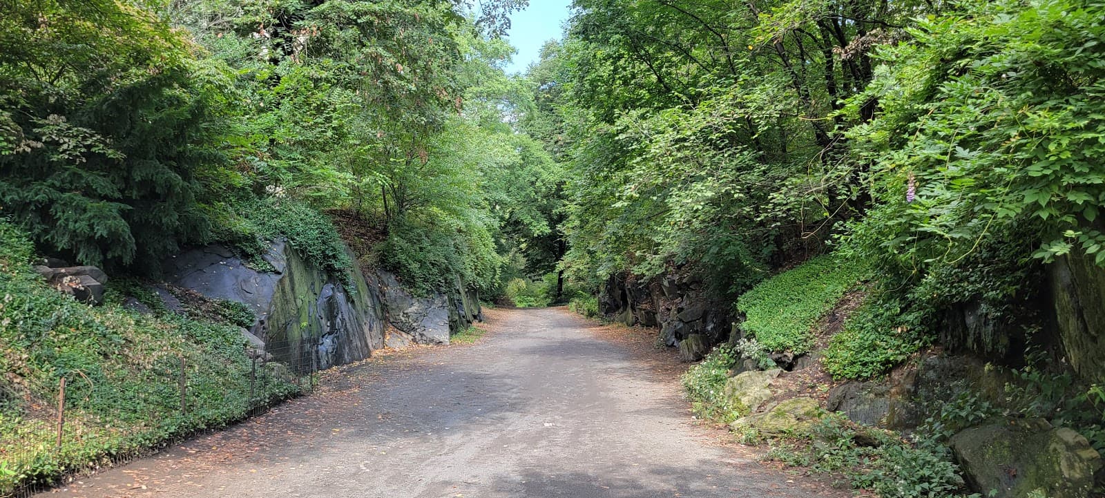 Bridle Path - Image 1