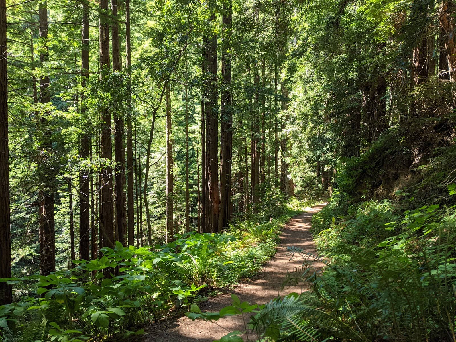 Panoramic Ocean Views